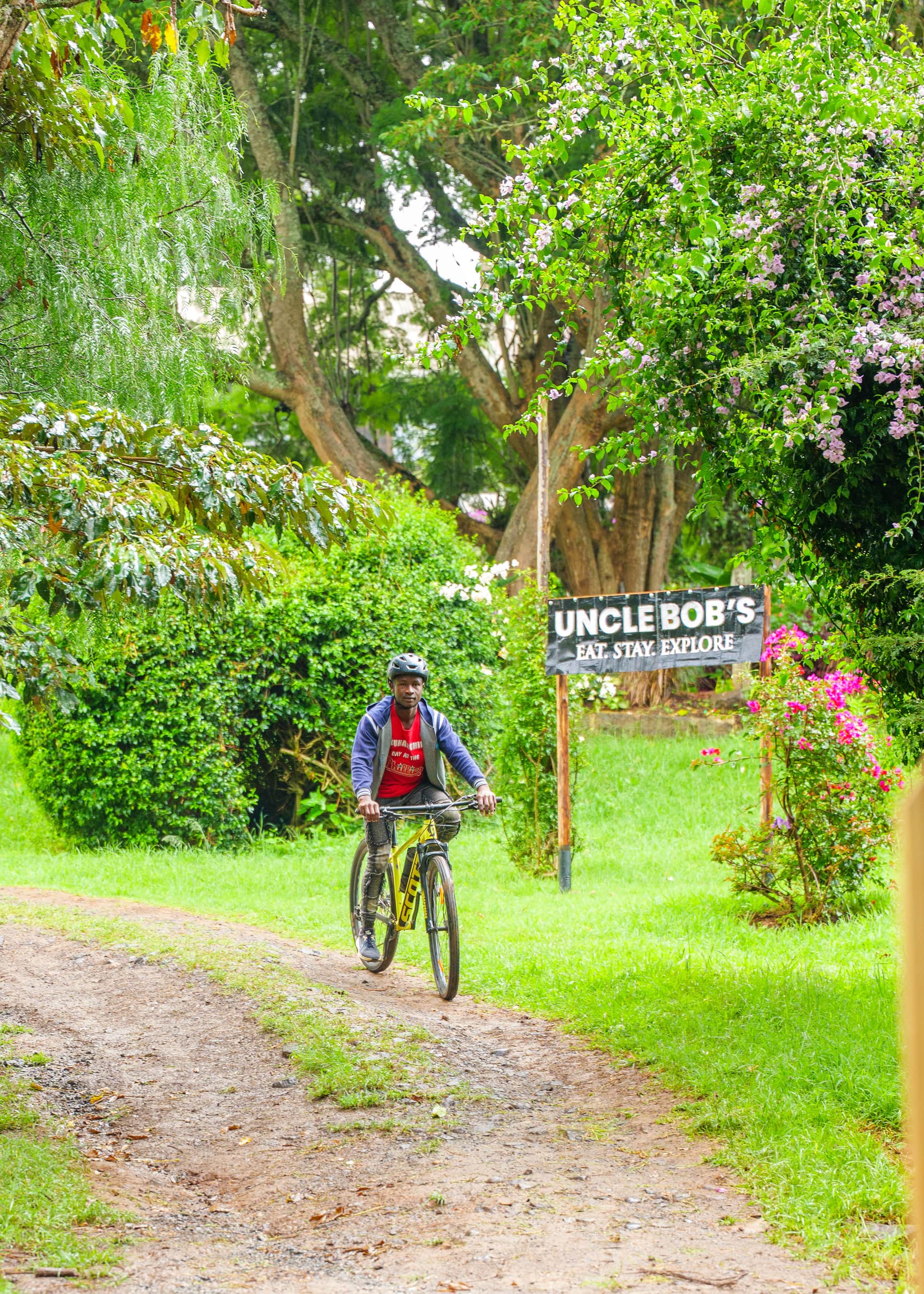 Cycling and Walking Tours