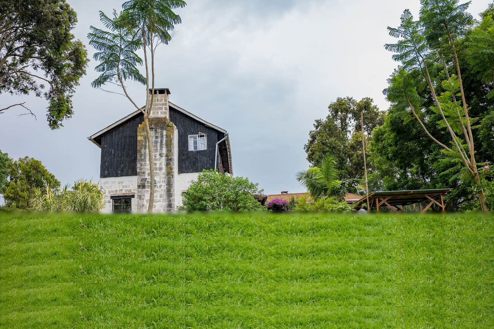 Farm detail