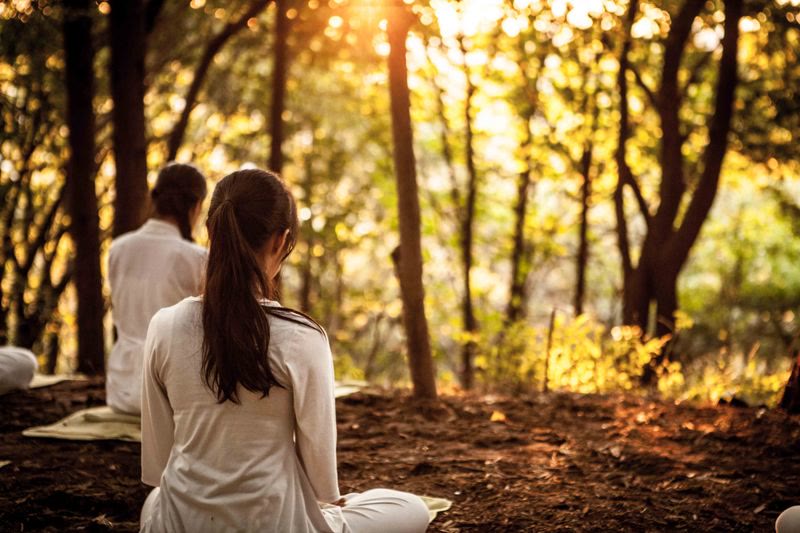 Forest Bathing at Uncle Bob's wellness retreat in Nanyuki